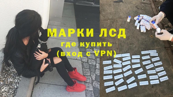 mdpv Богородицк