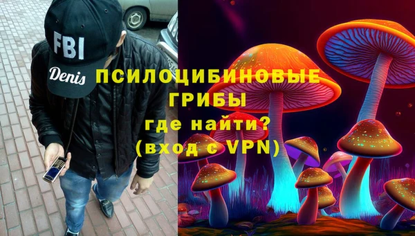 mdpv Богородицк