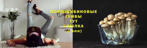 mdpv Богородицк