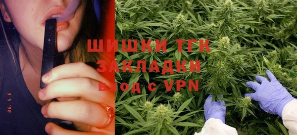 mdpv Богородицк