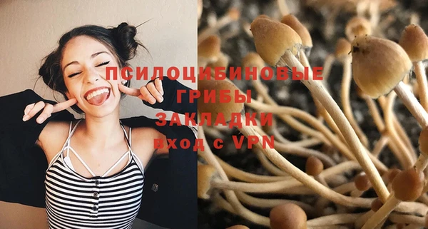 mdpv Богородицк