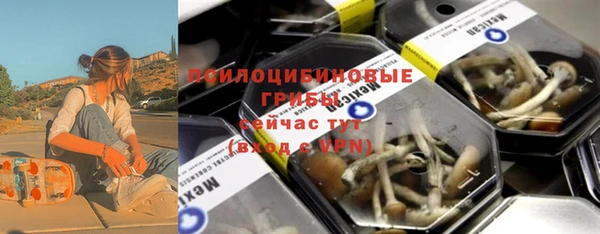 mdpv Богородицк